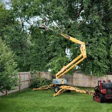 Best Lawn Watering Services  in Lumberton, TX